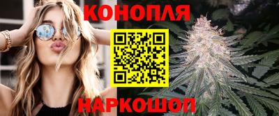 мдпв Партизанск