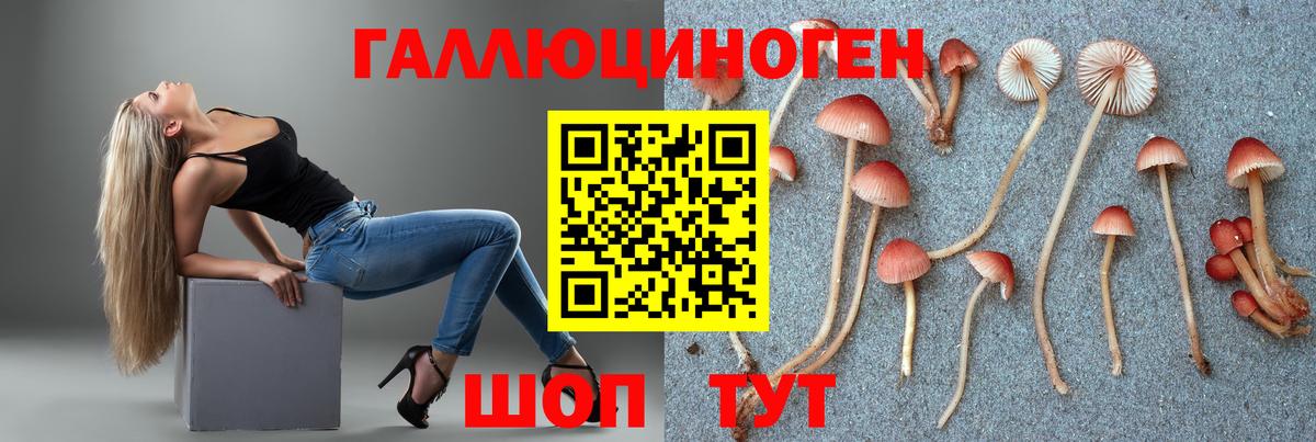 Советская Гавань  Псилоцибиновые грибы Cubensis  Вход с VPN 